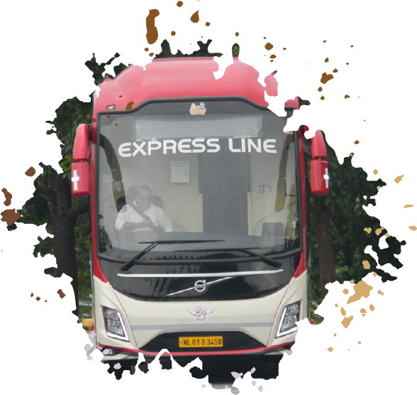 Express Line Bus