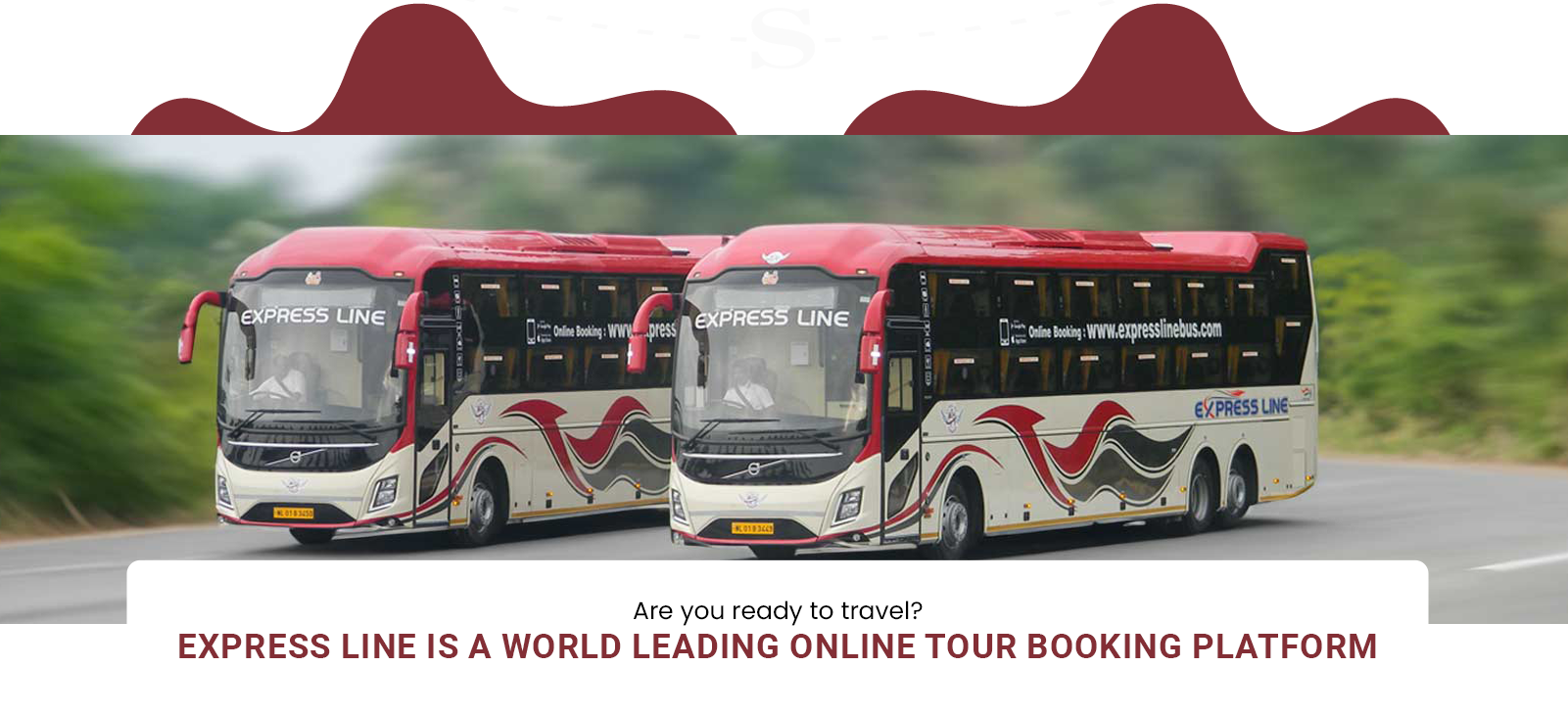 Express Line Bus Fleet