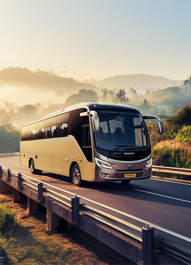 About South Line Bus