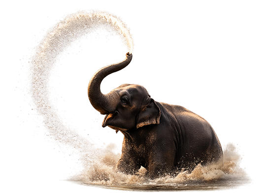 Midukki Travels premium bus interior