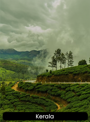 Online Bus Booking to Nagpur- Luxury Bus Travel