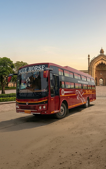 Blue horse travels