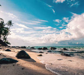 Malvan