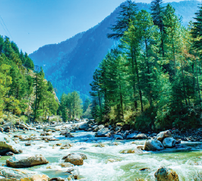 kasol